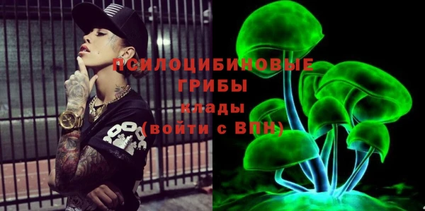 спайс Аркадак